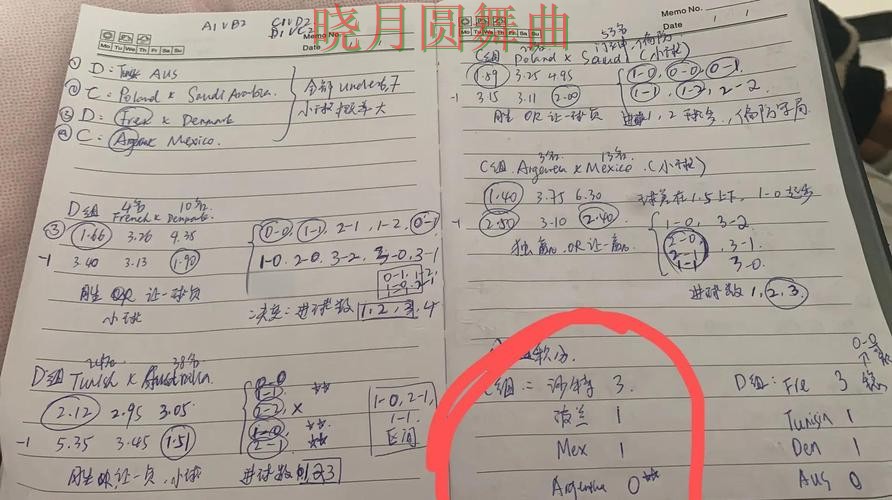 世界杯投注活动页面怎么看更清楚
